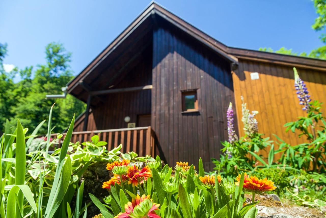 Chalets De La Wormsa Metzeral Exteriér fotografie