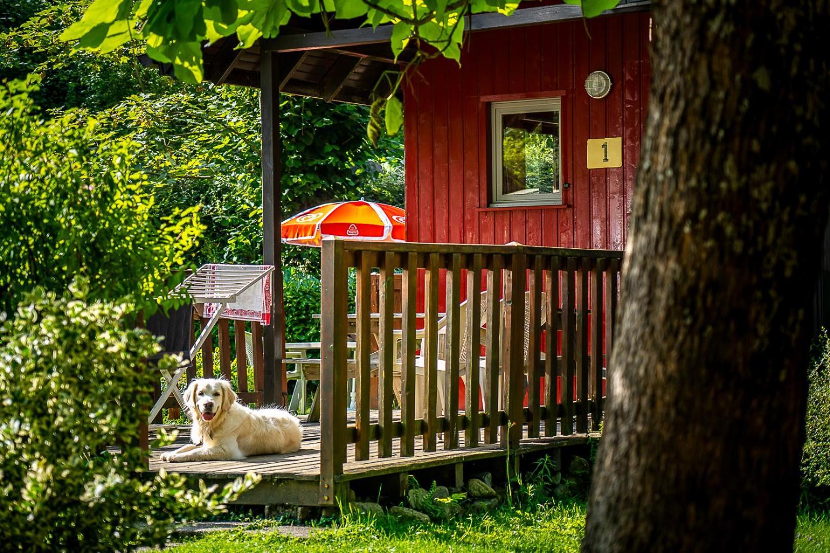 Chalets De La Wormsa Metzeral Exteriér fotografie